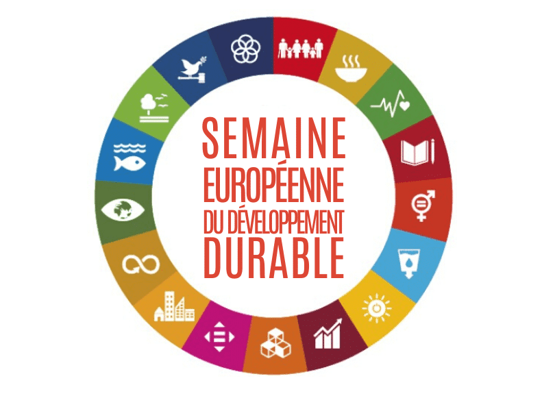 L'ingénierie au service du développement durable: réaliser les Objectifs de  développement durable