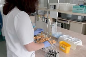 Analyses agricoles, biologiques et biotechnologiques débouchés du btsa anabiotec