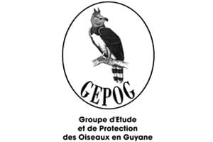GEPOG, protection des oiseaux de Guyane