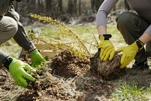 bénévoles environnement