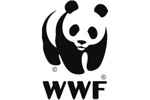 recrutements au WWF