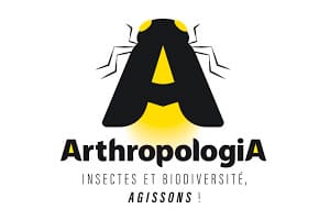 arthropologia protection des insectes