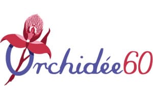 orchidées dans l'Oise